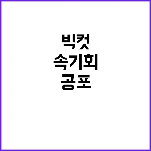 빅컷 랠리 투자자 …