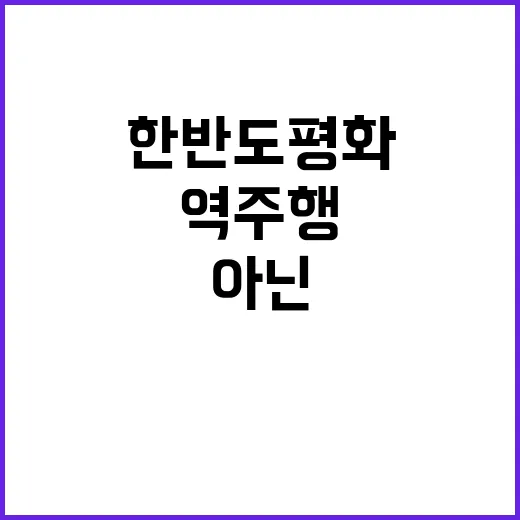 한반도 평화 멈춤 아닌 역주행 상태!