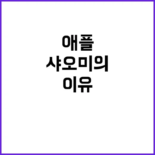 샤오미의 반란 애플…