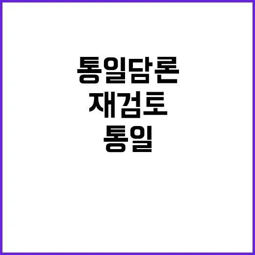 통일 담론 재검토 …