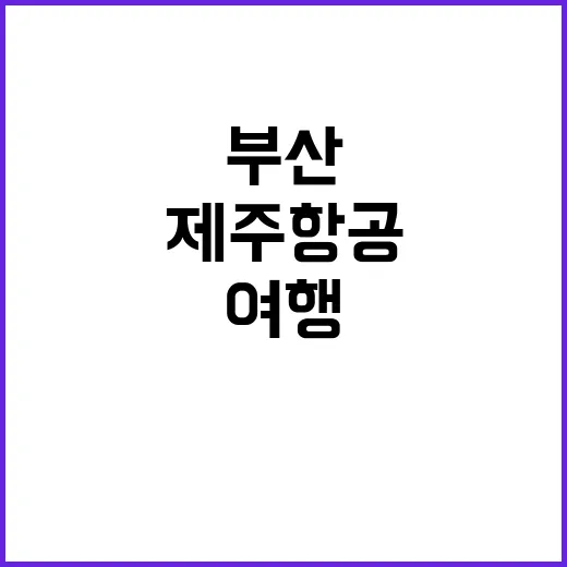 제주항공 부산 여행 인기 급증 예고!