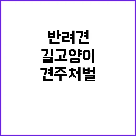 반려견 길고양이 죽…