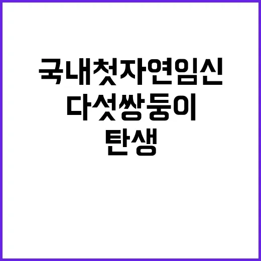 다섯 쌍둥이 탄생 국내 첫 자연임신 경사!