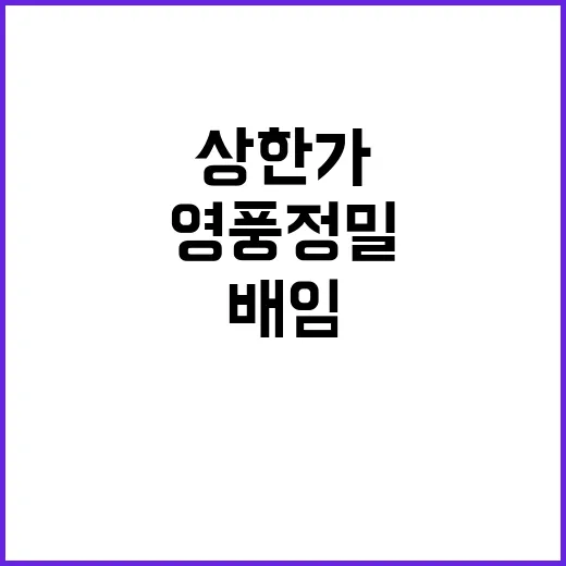 영풍정밀 상한가 배…