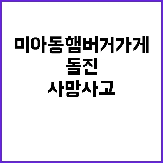 사망 사고 미아동 햄버거 가게 차량 돌진 사건