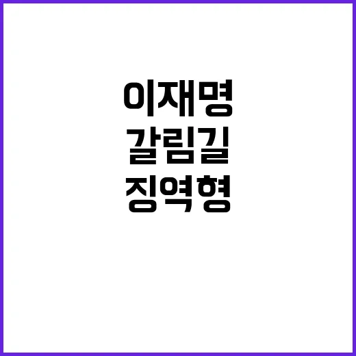 이재명 징역형 사냥…