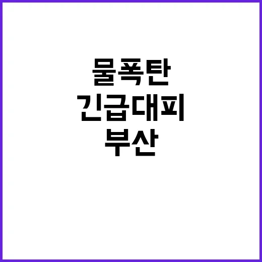 물폭탄 부산 28가구 45명 긴급 대피 중!