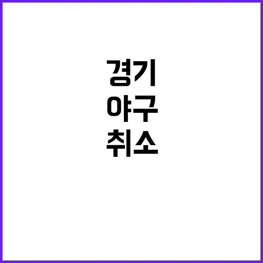 비로 취소된 야구 …