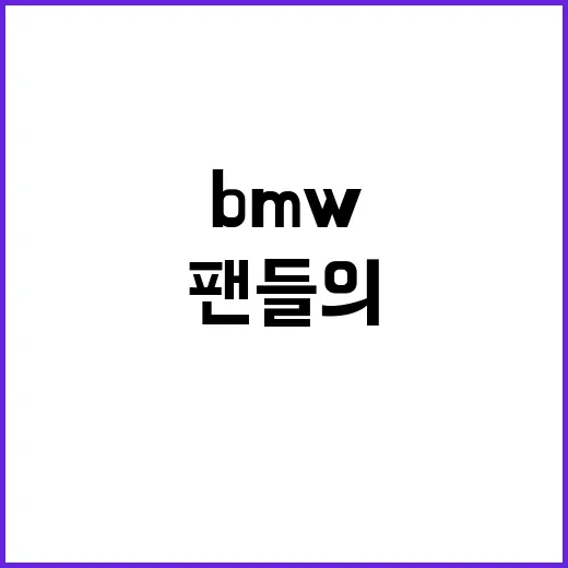 BMW 벨트 자동차…