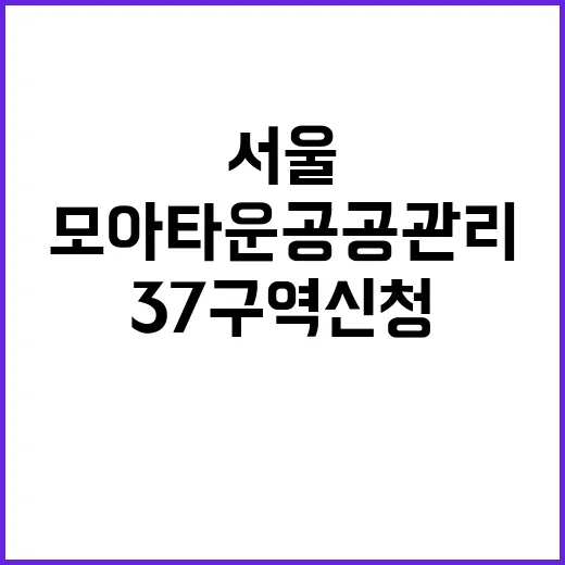 모아타운 공공관리 …