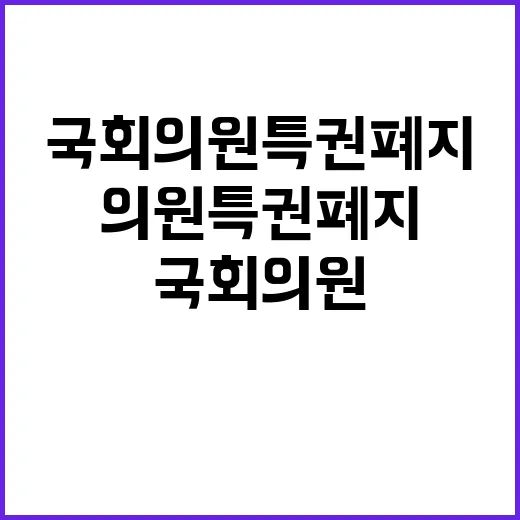 고인 희생 국회의원 특권폐지 이루어질까?