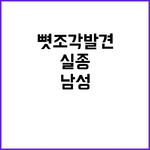 뼛조각 발견 실종 남성의 단서일까?