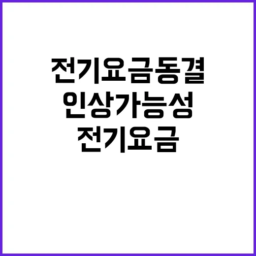 전기요금 동결 인상 가능성 여전히 존재!