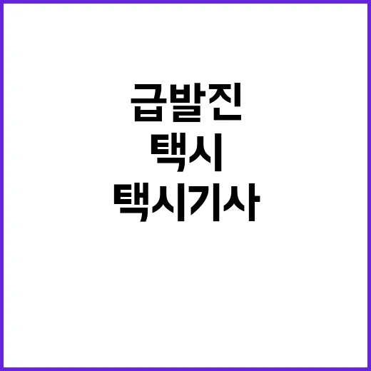 급발진 아냐…탑승자…