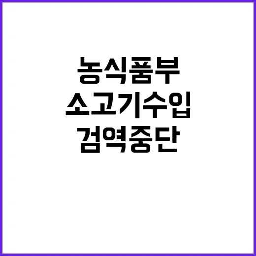 소고기 수입 농식품…