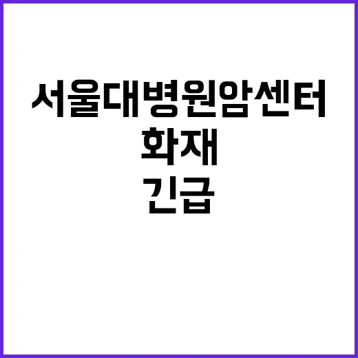 종로 화재 서울대병…