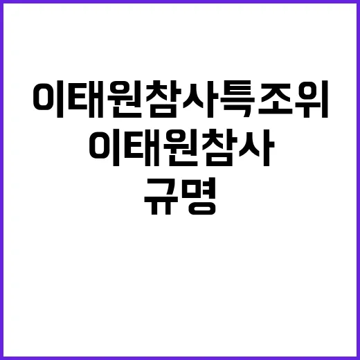 이태원참사 특조위 …