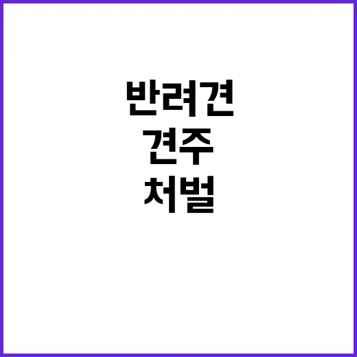 반려견 해치기 견주…