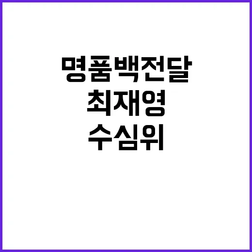 명품백 전달 최재영 수심위 결론 기대감 고조