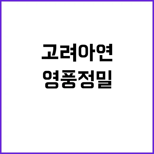 영풍정밀 사외이사 …