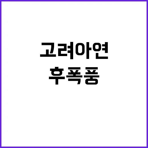 고려아연 사표 대란…