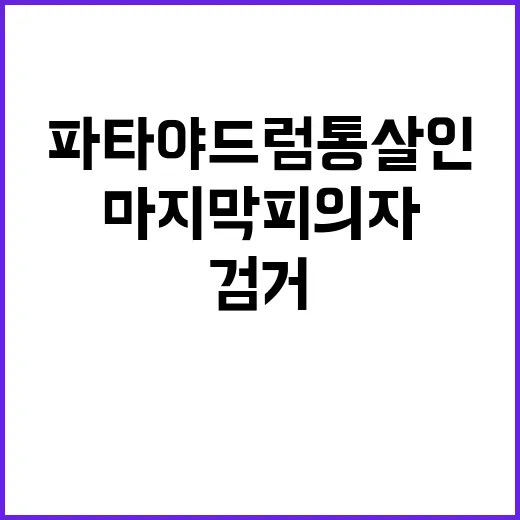 파타야 드럼통 살인…