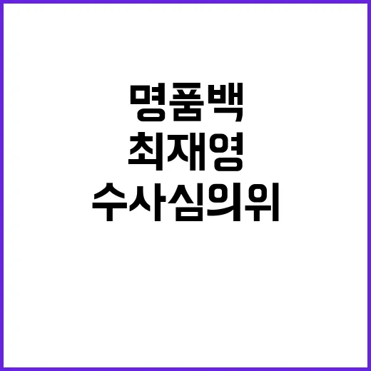 명품백 처분 최재영 수사심의위 쟁점은 직무!