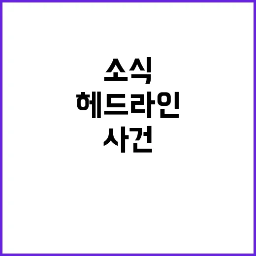 헤드라인 지금 확인…