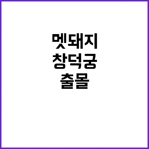 멧돼지 출몰…창덕궁…