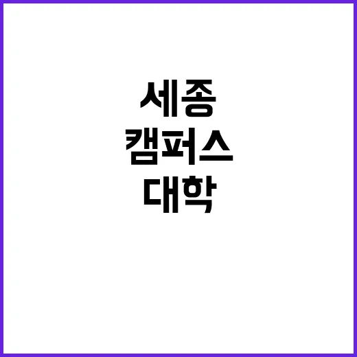 멧돼지 출현 당진 …