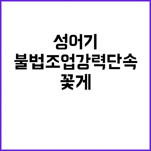 꽃게 성어기 한국 중국 불법조업 강력 단속!