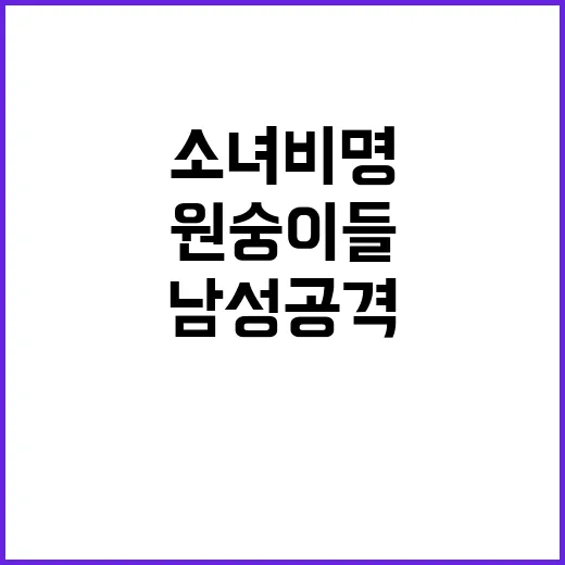 원숭이들 소녀 비명 후 남성 공격 사건 발생!