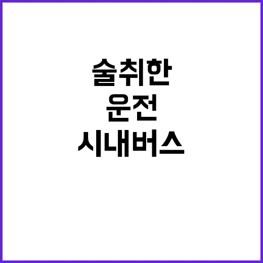 사고  술 취한 운…