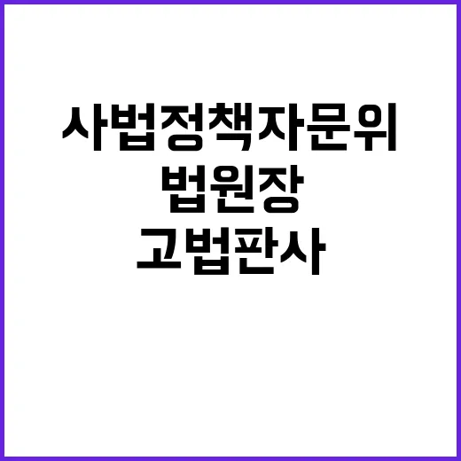 사법정책자문위 고법 판사 지법 법원장 보임 허용!