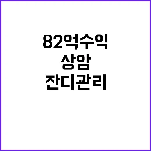 상암구장 82억 수익에 잔디 관리 2.5억!