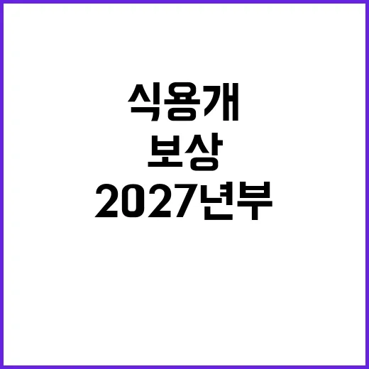 식용개 보상 202…