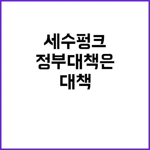 ‘홍명보’가 전하는…