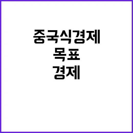 중국식 경제 민주당의 숨은 목표인가?