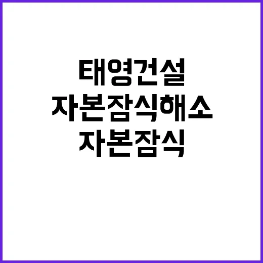 태영건설 재무제표 …