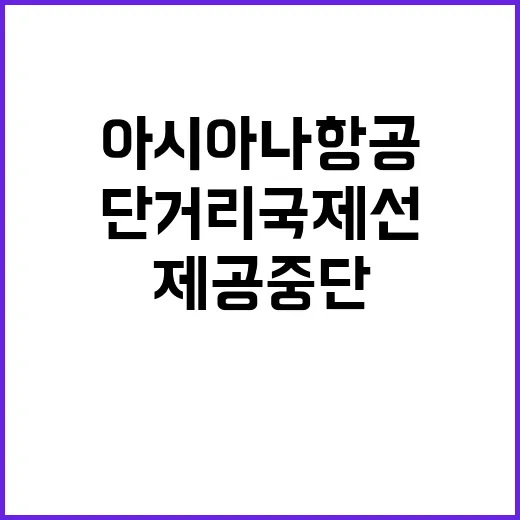 아시아나항공 단거리…