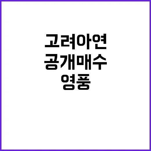 영풍 최 회장 공개매수로 고려아연 위기 상황!