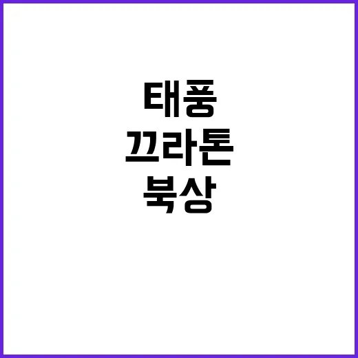 태풍 끄라톤 북상…한반도 위기 상황 직면!