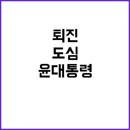 퇴진 갈매기 부산 도심 윤 대통령 답없다!