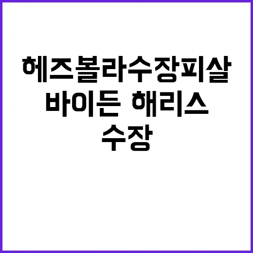 헤즈볼라 수장 피살 바이든·해리스의 정의로운 결정!