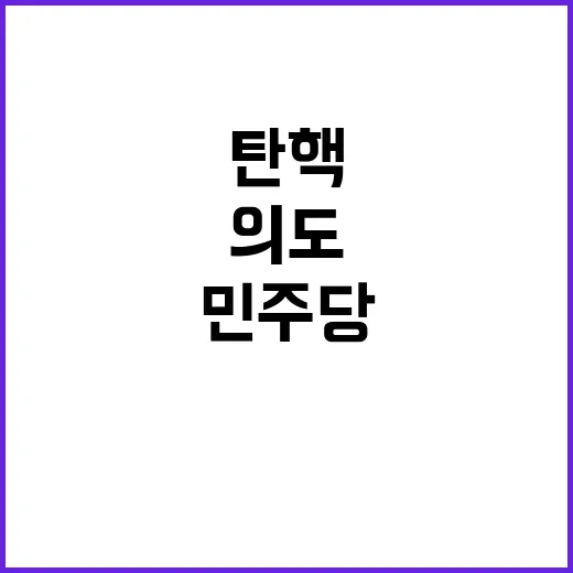 탄핵 밤 민주당의 숨은 의도는 무엇인가?