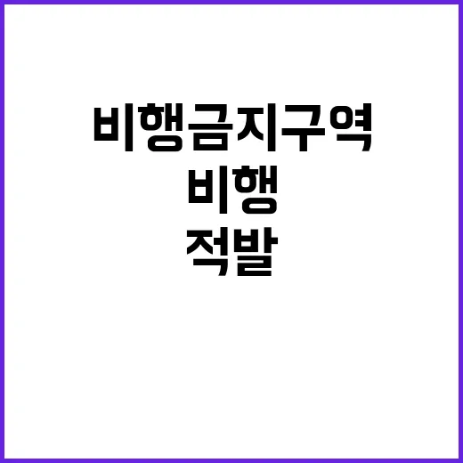 드론 적발 尹정부 …