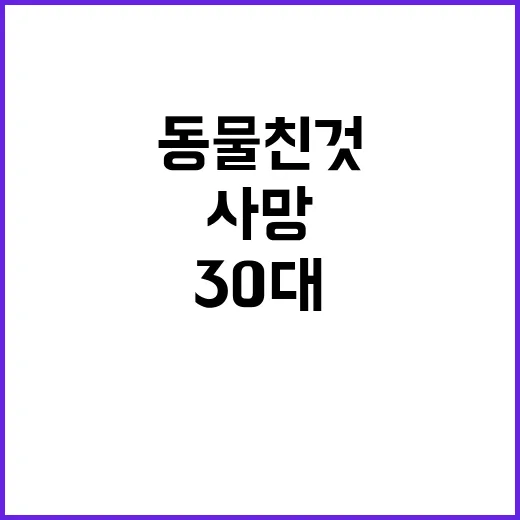 동물 친 것 신문 30대 여인 사망 사실 확인!