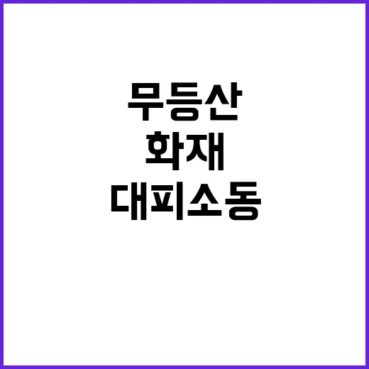 무등산 화재 4시간 만에 완진! 대피 소동