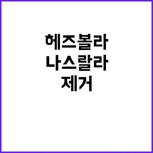 헤즈볼라 나스랄라와…