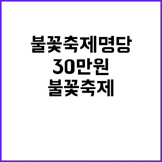 여의도 불꽃축제 명당 30만원에 매물 등장!